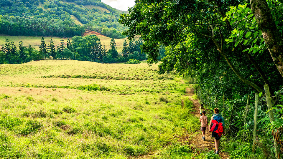 a parent and children family hiking through green field on the edge of a forest heading into the mountains